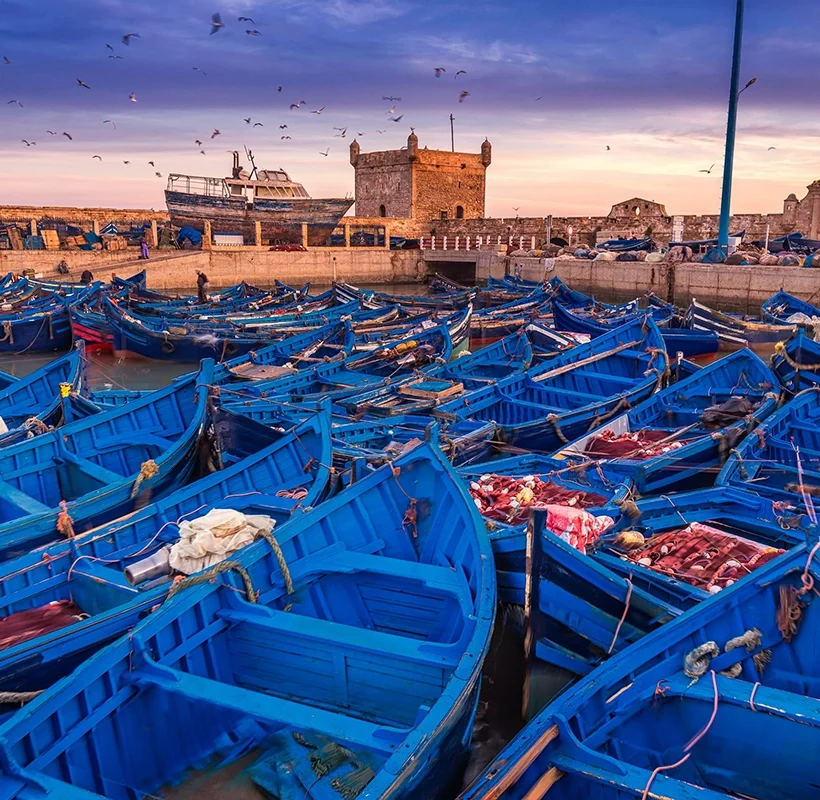 Essaouira Day Excursion
