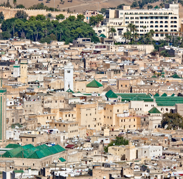 Meknes and Volubilis Day Trip